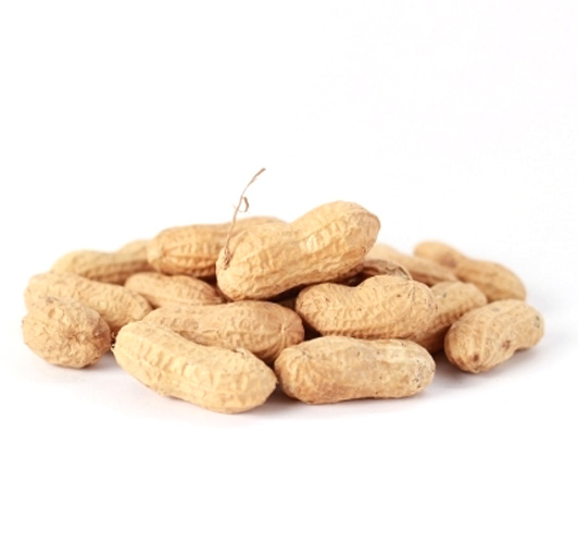 CACAHUETES CON CÁSCARA CRUDOS CACAHUETES CON CÁSCARA CRUDOS