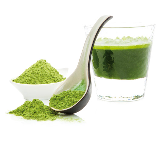 CHLORELLA ECOLÓGICA CHLORELLA ECOLÓGICA