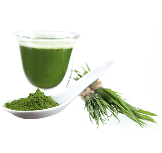 ESPIRULINA ECOLÓGICA ESPIRULINA ECOLÓGICA
