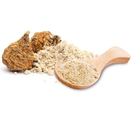 MACA EN POLVO ECOLÓGICA MACA EN POLVO ECOLÓGICA